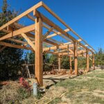 abris-bois-douglas-artisan-tarn-lempaut